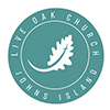circle blue logo webicon